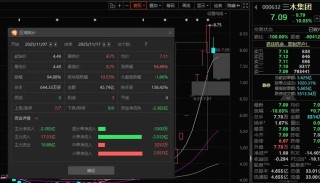 “七连板”牛股三木集团突发，“80后”董事长林昱辞职！此前两次连任，去年年薪超108万元