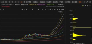 ST中迪走出20连板，总经理低位增持已浮盈超千万元，控制权变更前大量资金入场