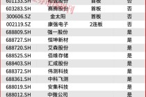 一个年度级别的主线机会！正启动加速拉升！