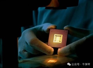 牛弹琴：荷兰人自己都看不下去了