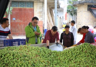 在安徽芜湖，这家企业靠卖青梅的公司溜溜梅冲击IPO