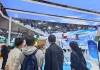 从新能源汽车、储能到半导体封装，进博会成海外新材料巨头创新试验场 | 共享大市场