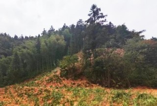 黄金ESG | 矿区与社区：责任，不止于开采