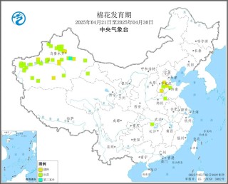 气象预警：2025年4月下旬棉花发育期