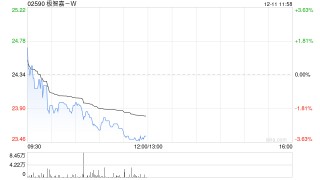 中金：首予极智嘉-W跑赢行业评级 目标价32.8港元