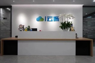 i云保困局：融资捷报，难掩战略与增长之痛