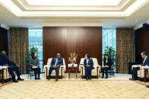 中国进出口银行副行长杨东宁会见刚果（布）驻华大使塞普里安·马米纳