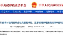原四川省农村信用社联合社党委副书记、监事长杨家卷被查