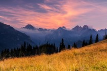 8家头部上市保司2025银保渠道大爆发？国寿趸交撑场、太保续期亮眼、人保寿期交增速领跑同业