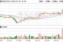 德宏股份：2025年年度业绩预告