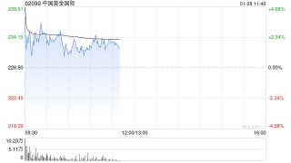 中国黄金国际盘初涨超4% 发布2026年年度产量指引