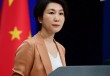 中方是否考虑参加俄乌会谈？外交部回应
