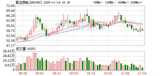 半导体龙头 第一大股东拟变更