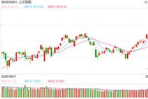 金信基金杨超评市场：短期市场或需整固蓄力 商业航天及军工板块值得重点关注