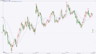 东海期货：2026年豆粕投资策略报告