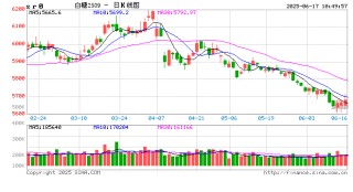 光大期货：6月17日软商品日报