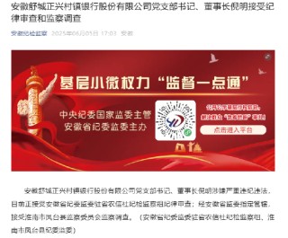 安徽舒城正兴村镇银行董事长倪明被查