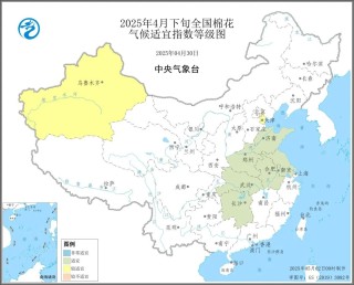 气象预警：2025年4月下旬棉花发育期