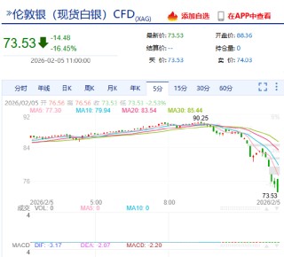 快讯：现货白银向下触及74美元/盎司，日内跌超16%