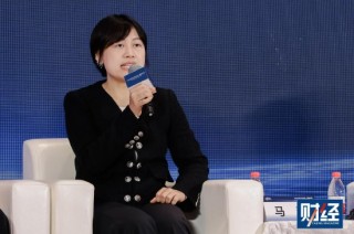如何挤压AI行业泡沫？蚂蚁集团马静建议：提高资产利用率，稳扎稳打寻找真实需求