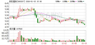 安彩高科：2026年2月3日召开2026年第一次临时股东会