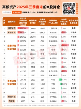 高毅资产2025年末美股持仓出炉，持股近47亿元！近一个月调研26家A股公司！