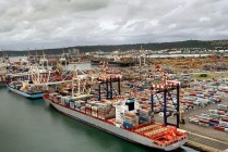 树立平台型组织“先行者”：洛阳钼业成立全球供应链中心从前端赋能业务