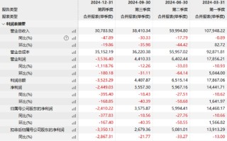 营收三连降！ST九芝2024年净利润暴跌27%