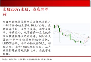 中天期货:棕榈大涨的高位调整 尿素继续大涨