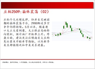 中天期货:棕榈震荡回落 白糖走势不稳