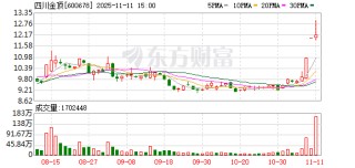 四川金顶11月11日龙虎榜数据