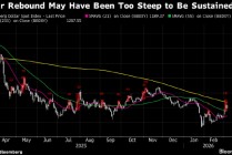 纽约汇市：彭博美元指数重拾升势 中东持久战担忧推动油价大涨