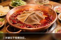 人均140块的巴奴火锅，赚钱能力不如海底捞