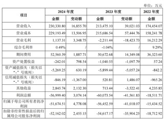 去年毛利率仅0.49%！泉峰汽车实控人掏2亿救急 三年已亏超12亿