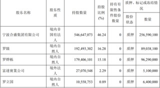 合盛硅业陷盈利困境，实控人家族去年拿走近八成分红