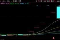 深华发A名副其实