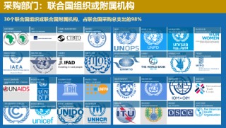 中国联合国采购促进会宋嘉：企业出海是一种战略选择