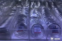 缺货！缺货！杭州有人刚刚变现93万元