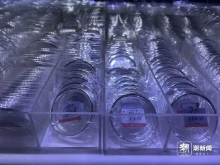 缺货！缺货！杭州有人刚刚变现93万元