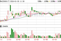 深中华A股价异动 2025年净利润预计增长113.71%—220.57%