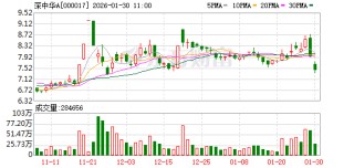 深中华A股价异动 2025年净利润预计增长113.71%—220.57%