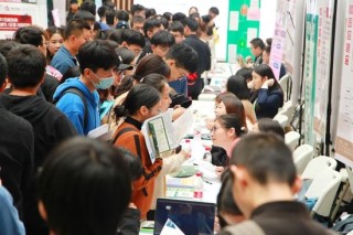 新的视角：从不同经济主体容纳比例变化看就业形势