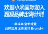 小米国际加入阿里速卖通“超级品牌出海计划”