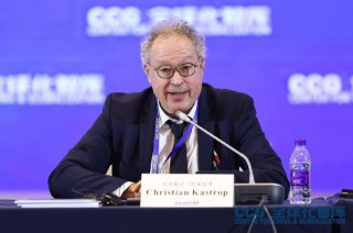 德国全球解决方案倡议合伙人：要想获得全球解决方案，各国需要互相信任