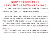 605199，被证监会立案！