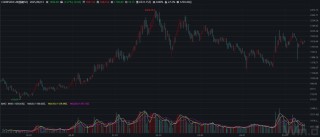 【国建50周报】稀土相关概念股连续上涨
