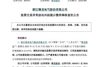 13连板大牛股锋龙股份明起停牌核查