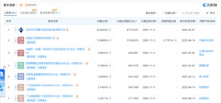 上海海隆赛能冲刺A股，中石化17.68%入股，董事长张军技术员出身，毕业于河北广播电视大学 | 长三角资本局