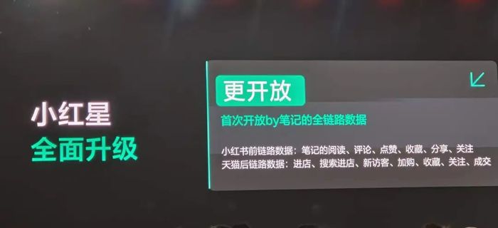 为“淘天”种草，小红书留下了什么？  第4张