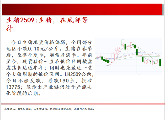 中天期货:棕榈震荡回落 白糖走势不稳  第4张